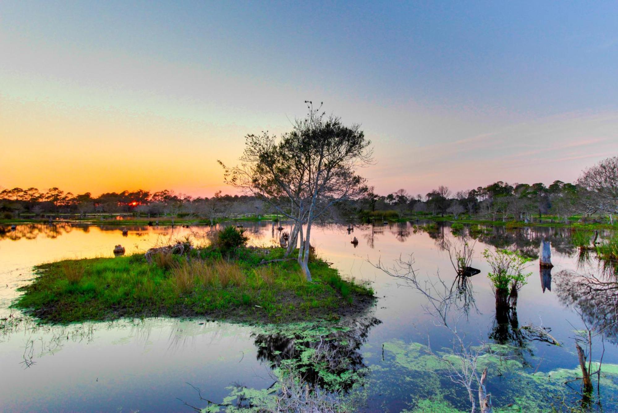 Emerald Isle Panama City Beach Bilik gambar